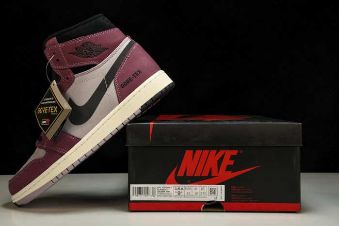 air jordan 1 high element gore-tex 