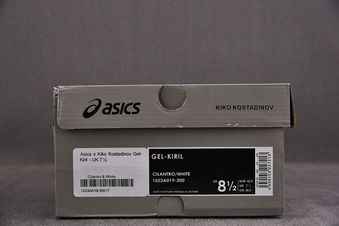 a_sics gel as19